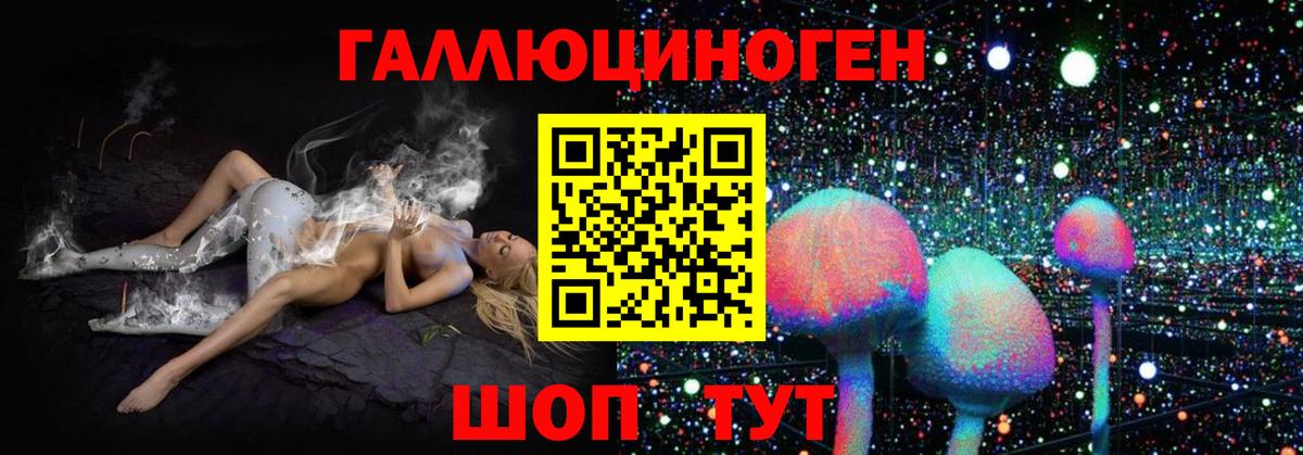 Галлюциногенные грибы мухоморы Норильск